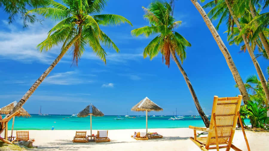 Palm Beach Tropical Paradise Wallpaper