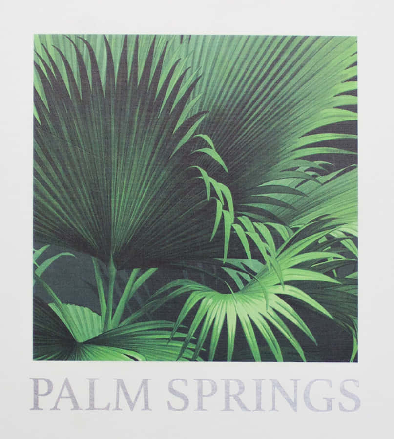 Palm Springs Leaf Art Wallpaper