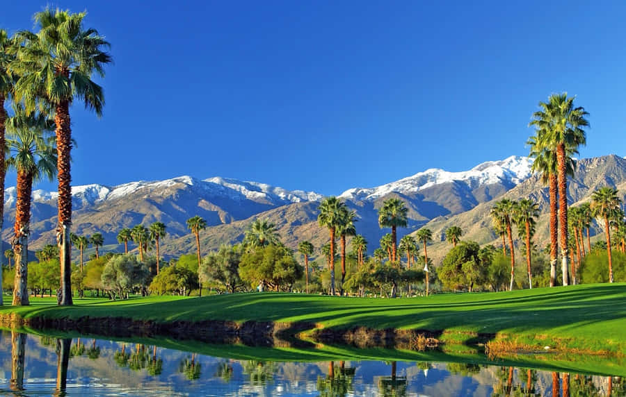 Palm Springs Mesquite Golf Club Wallpaper