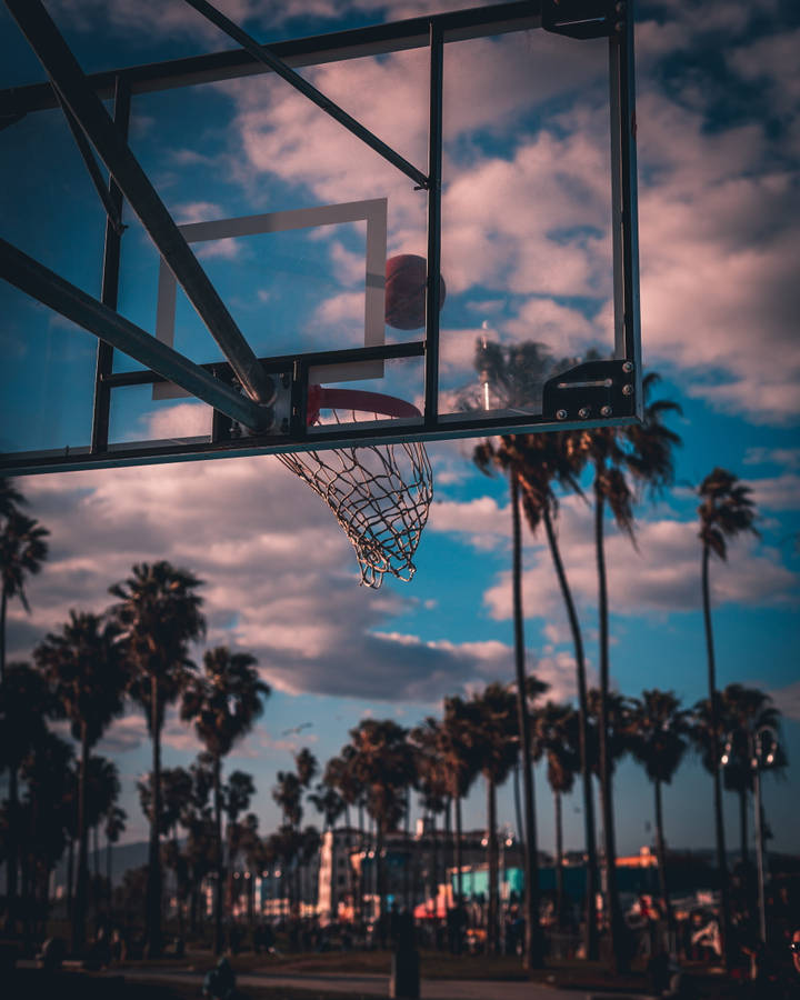 Palm Tree Sunset Basketball Hoop Wallpaper