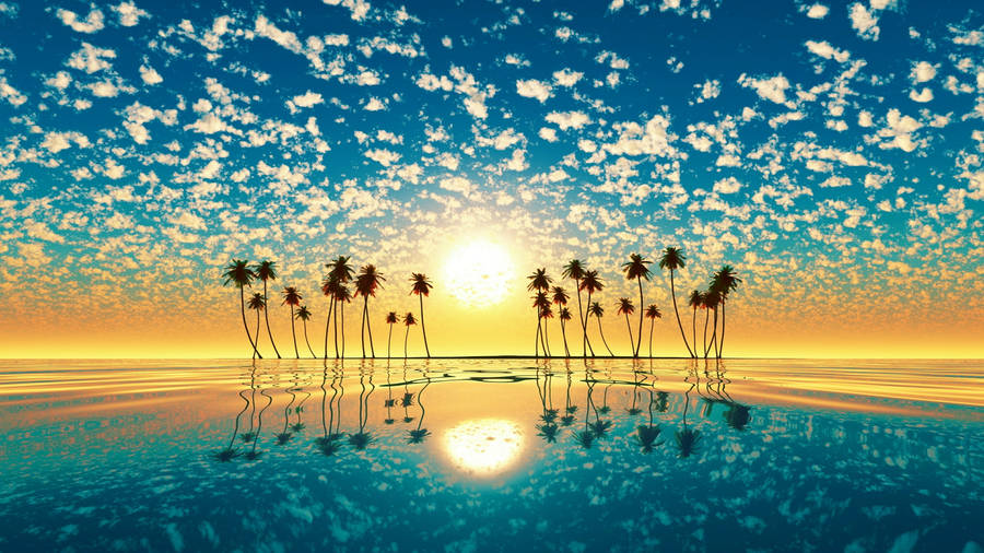 Palm Tree Sunset Orange Sky Wallpaper