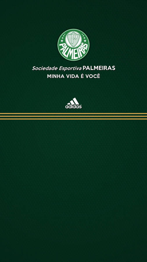 Palmeiras And Adidas Wallpaper