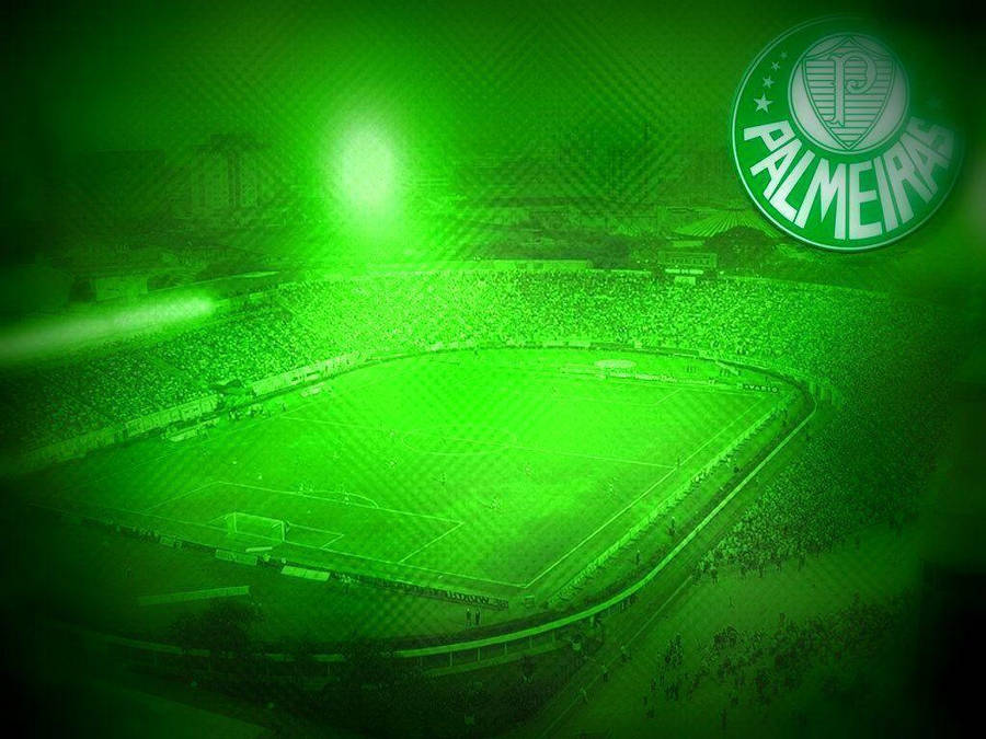 Palmeiras Stadium Wallpaper