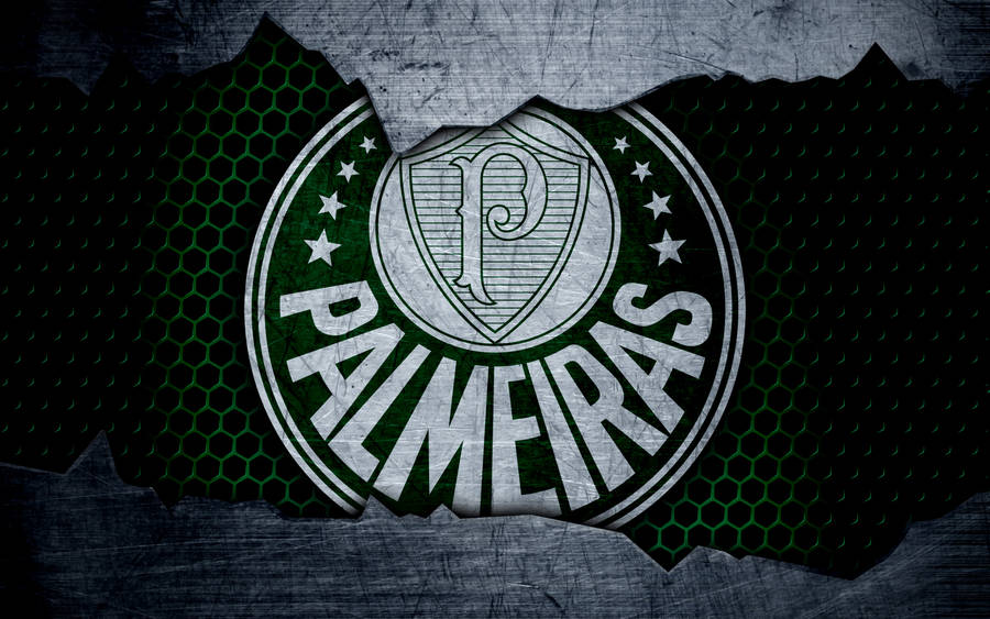 Palmeiras Torn Metal Wallpaper