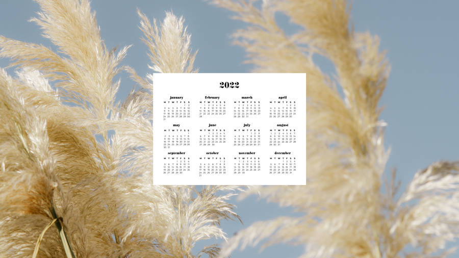 Pampas Grass 2022 Calendar Wallpaper