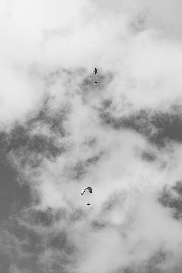 Paragliding Black And White Wallpaper