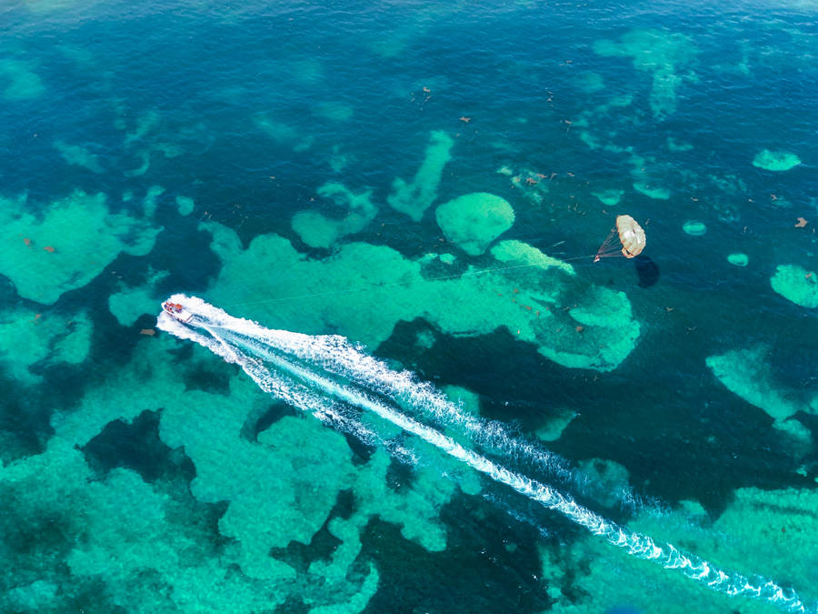 Parasailing Above The Coral Reeves Wallpaper