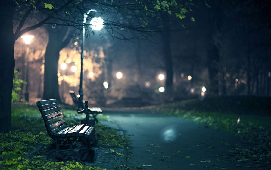 Park Bench On Full Hd Computer Desktop Wallpaper