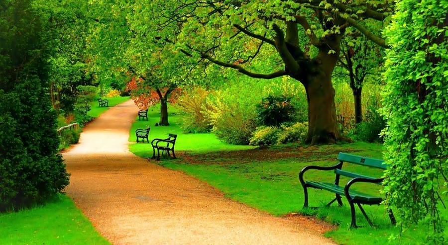 Park Walkway Full Screen Hd Desktop Wallpaper