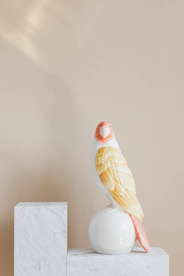 Parrot Bird Sculpture Wallpaper