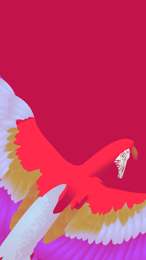 Parrot Illustration Wallpaper