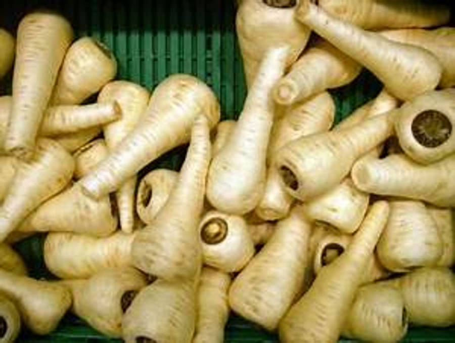 Parsnip Vegetables Pile In Green Basket Wallpaper