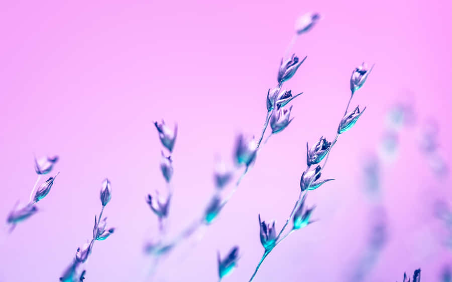 Pastel Flora Artistry Wallpaper