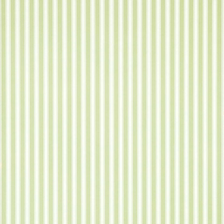 Pastel Green Striped Wallpaper