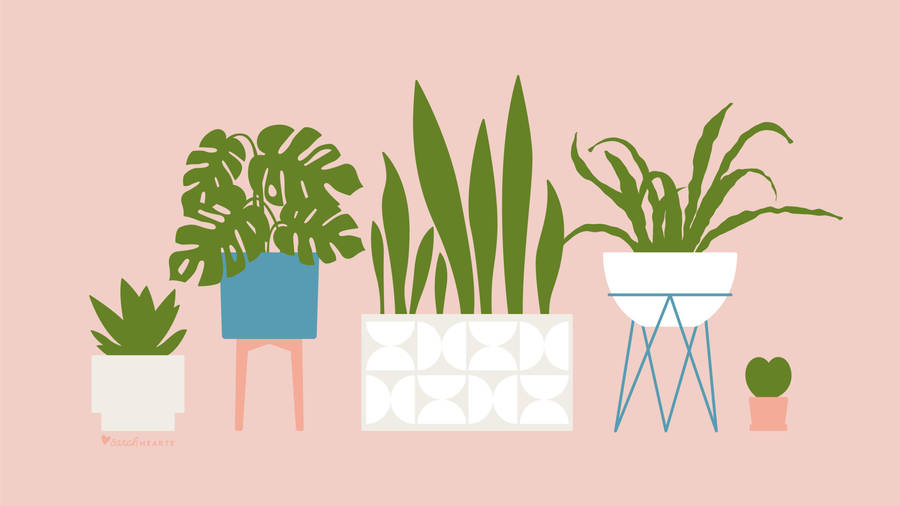 Pastel House Plants Vector Art Wallpaper