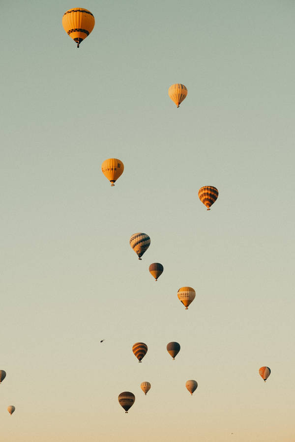 Pastel Phone Hot Air Balloons Wallpaper