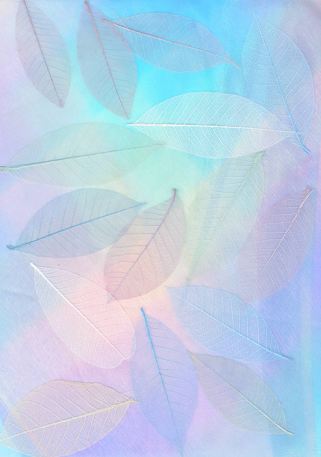Pastel Phone Translucent Leaves Wallpaper