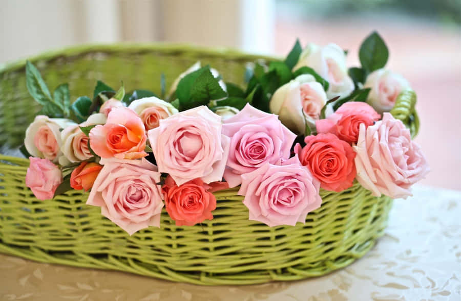 Pastel Rosesin Green Basket Wallpaper