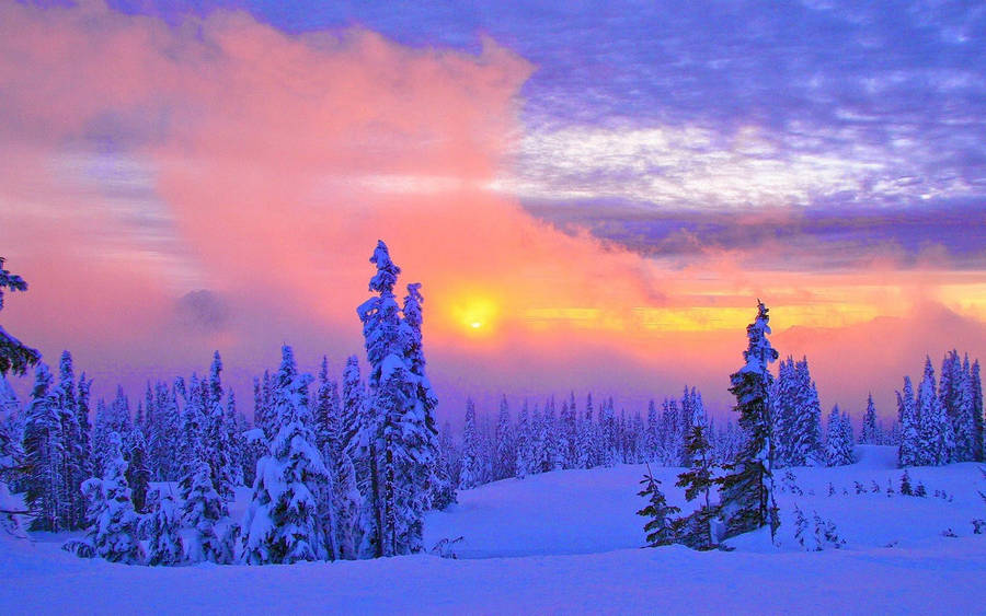 Pastel Sunset Winter Scenery Wallpaper