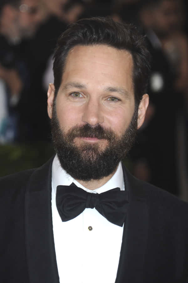 Paul Rudd In A Suit Wallpaper