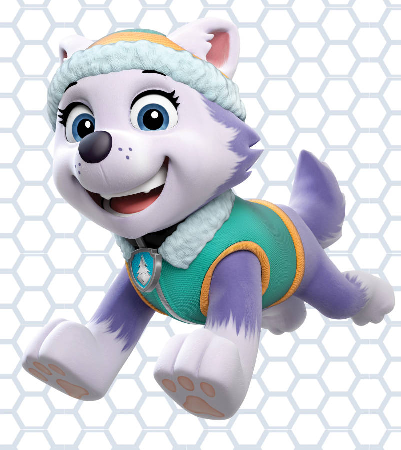 Paw Patrol Everest Wallpaper