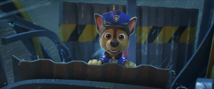 Paw Patrol The Movie Concerned Chase Wallpaper