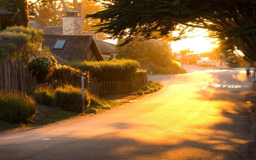 Peaceful And Clean Street Morning Glory Wallpaper