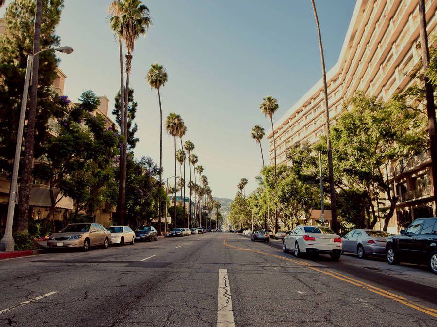 Peaceful Hollywood Street Wallpaper