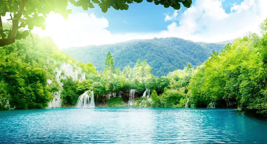 Peaceful Lagoon Greenery Sunny Day Wallpaper