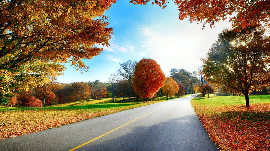 Peaceful Park On Fall Season Wallpaper