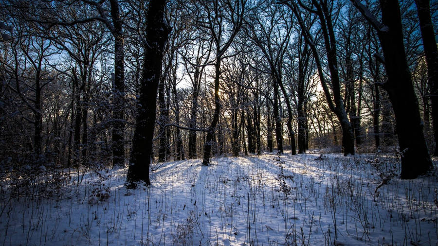 Peaceful Scene For 1920x1080 Winter Desktop Wallpaper