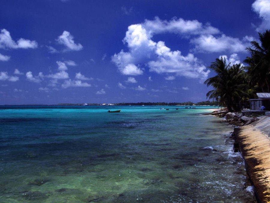 Peaceful Water In Tuvalu Beach Wallpaper