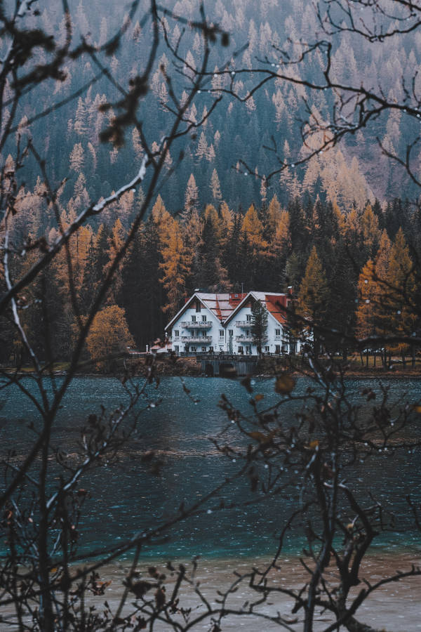 Peaceful White House Overlooking A Lush Forest Wallpaper