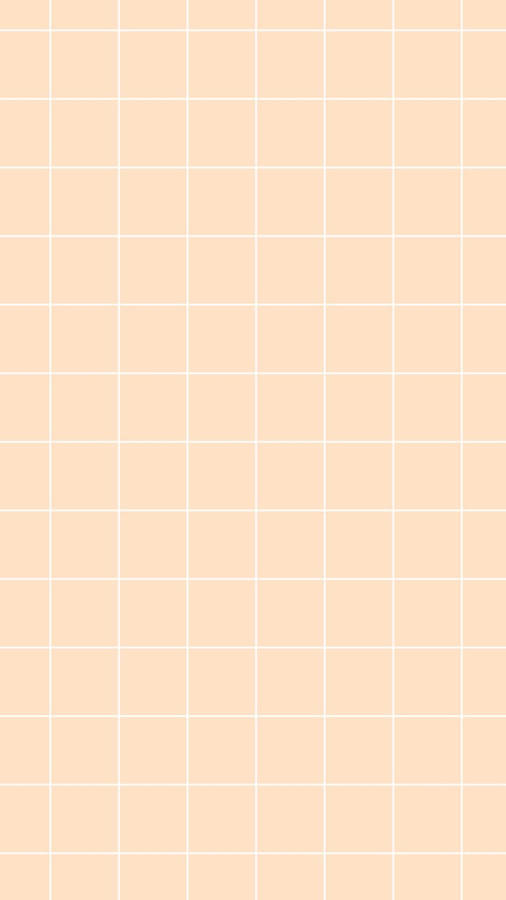 Peach Aesthetic Grid Wallpaper