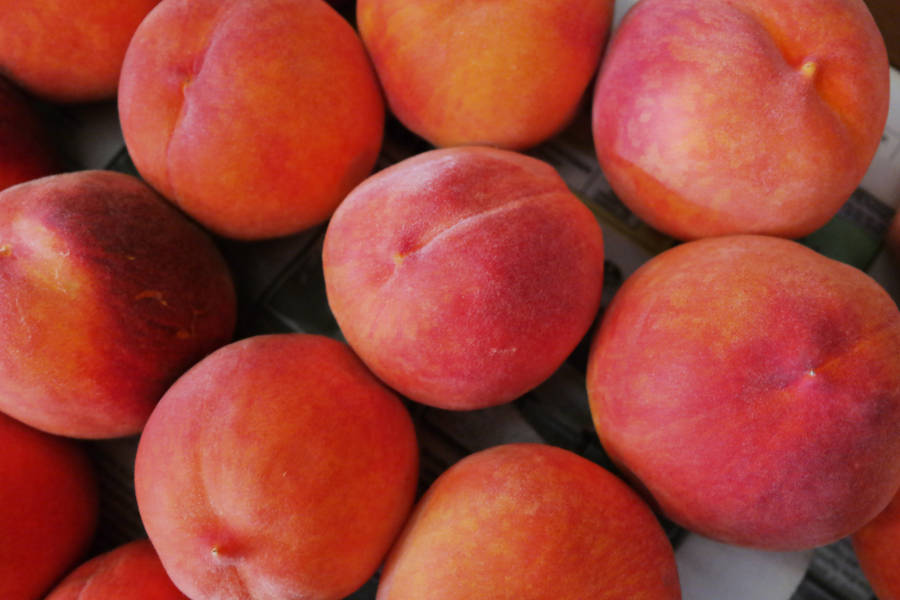 Peach Fruit Round Shape Wallpaper
