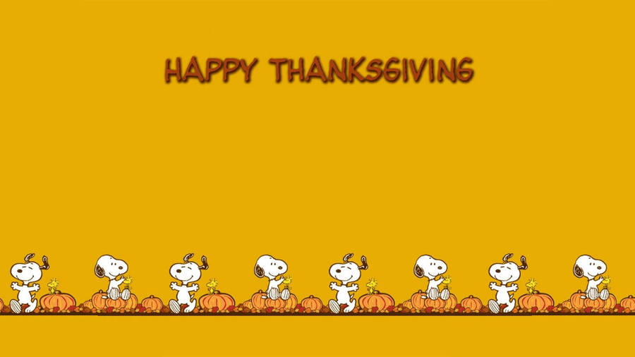 Peanuts Thanksgiving Snoopy And Pumpkin Wallpaper