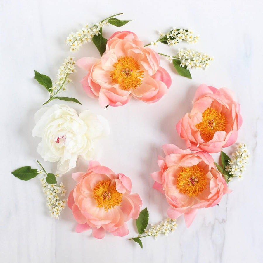 Peony Flower Wreath Wallpaper