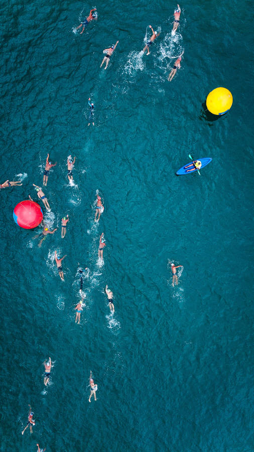 People Swimming In Summer Iphone Wallpaper