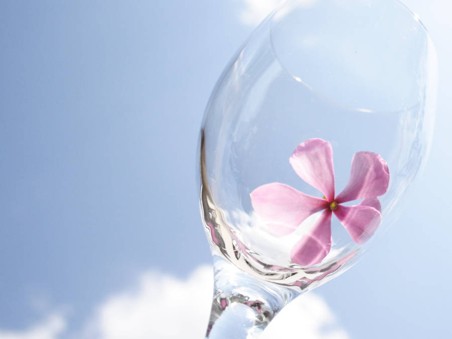 Periwinkle Inside Wine Glass Wallpaper