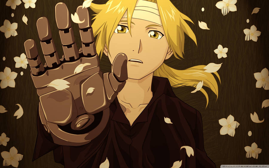 Perplexing Fullmetal Alchemist Brotherhood Miniature Wallpaper