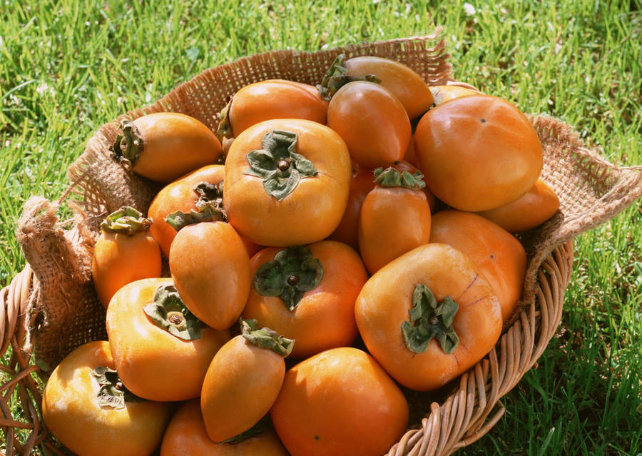 Persimmon Fruits Inside Woven Basket Wallpaper