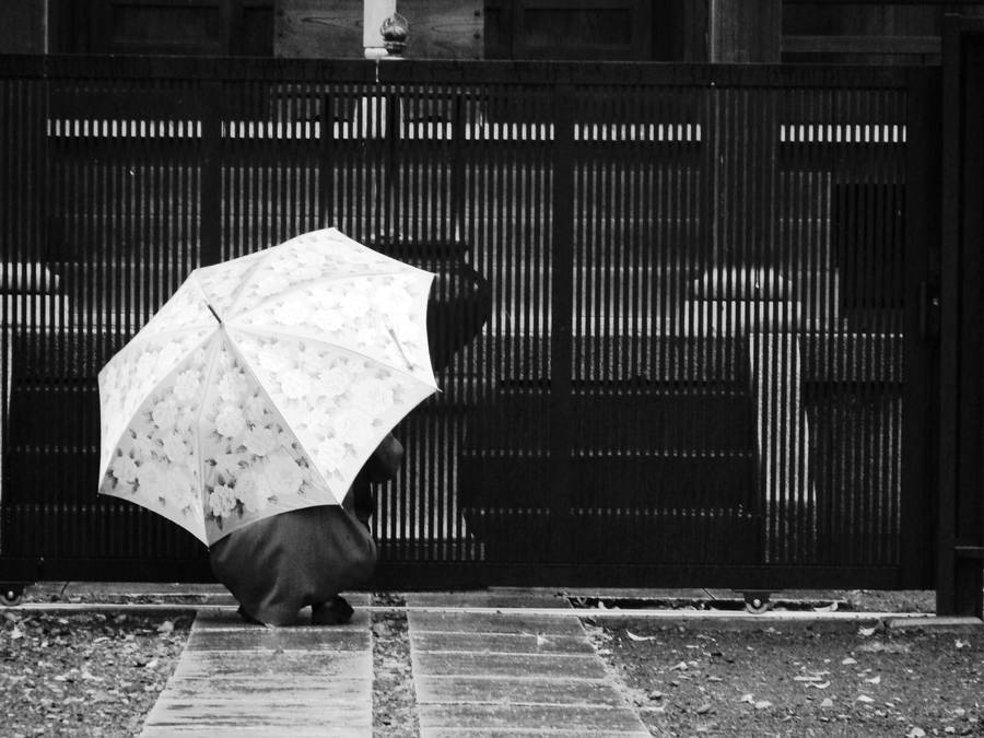 Person In An Umbrella Remembrance Day Wallpaper