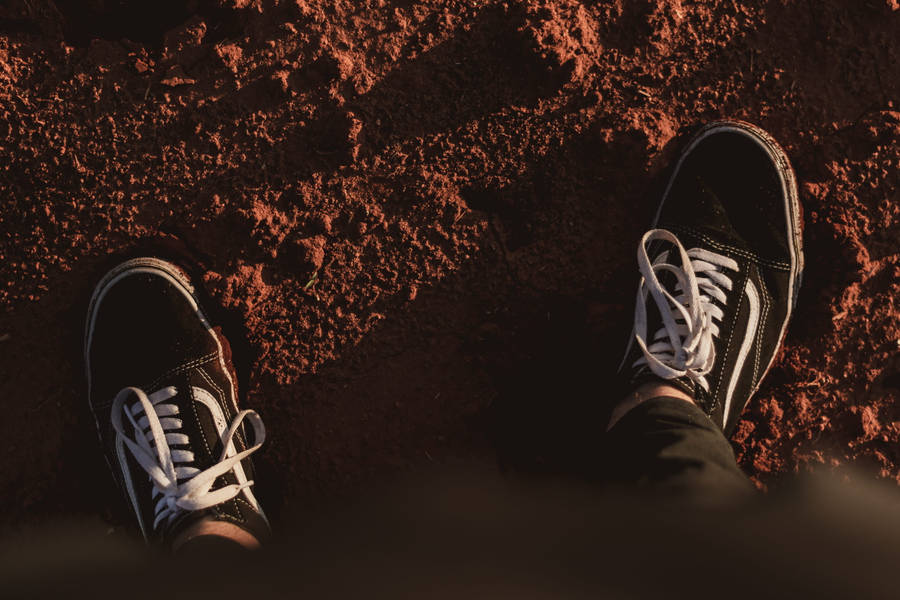 Person Wearing Authentic Black Vans Wallpaper