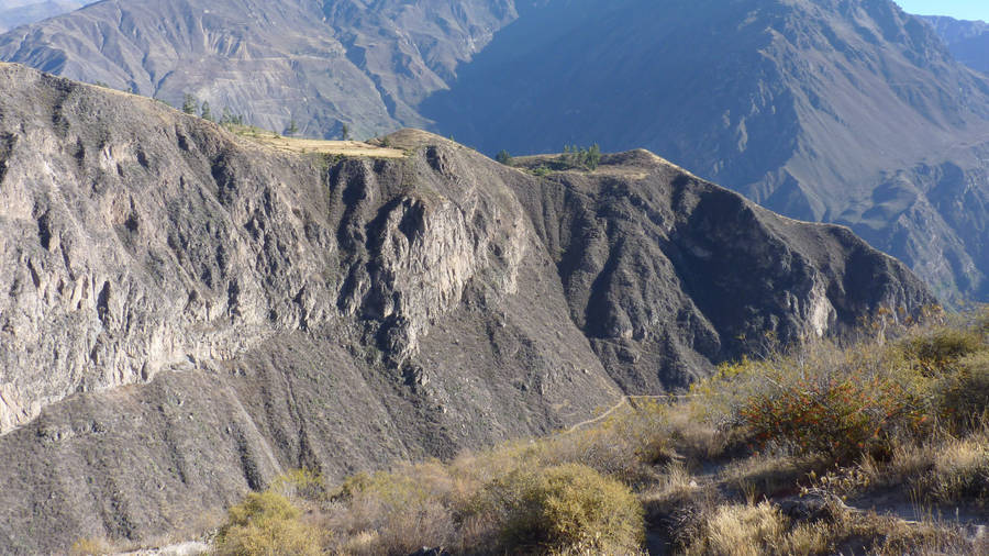 Peru Colca Canyon Wallpaper