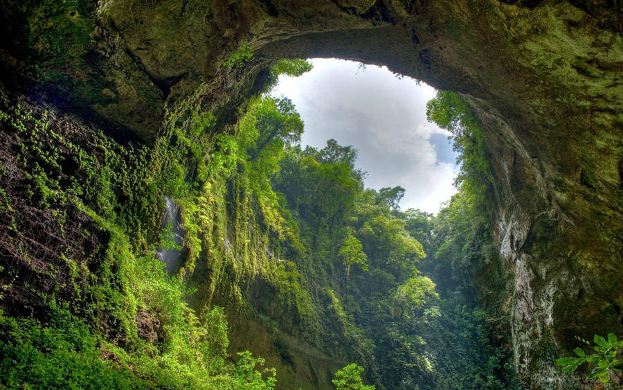 Peru Green Cave Wallpaper