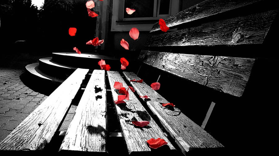 Petals Falling On Bench Wallpaper