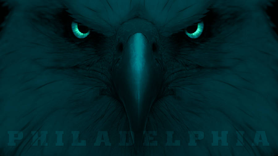 Philadelphia Eagles' Eagle Eye Wallpaper