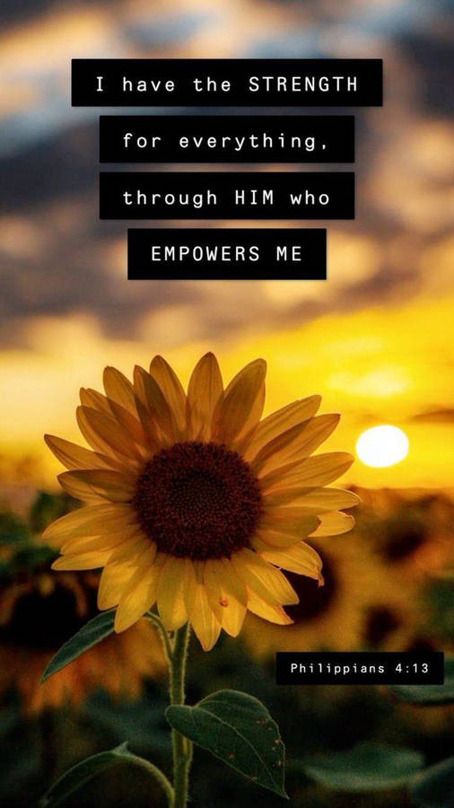 Philippians 4:13 Sunflower Iphone Wallpaper