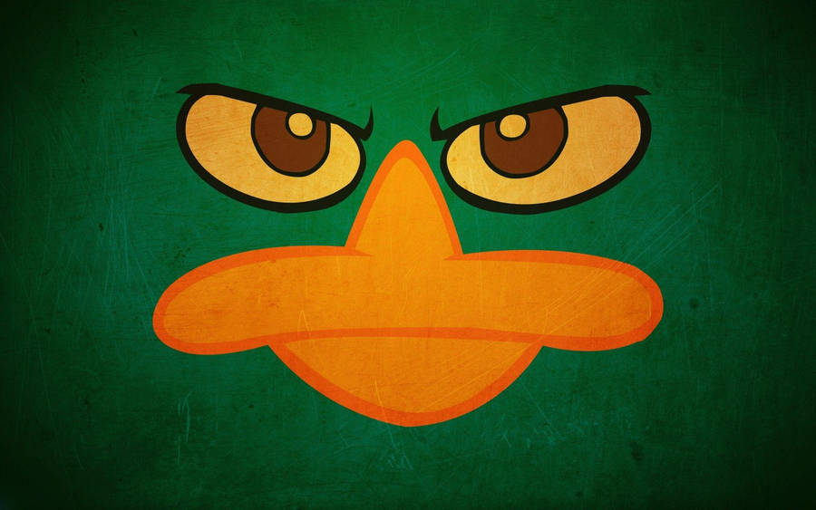 Phineas And Ferb Determined Perry Wallpaper