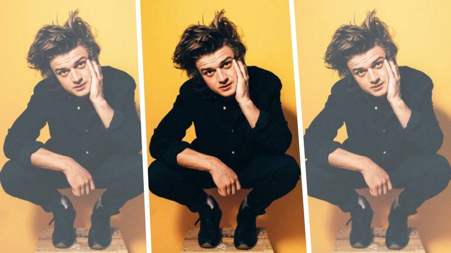 Photo Collage Joe Keery Wallpaper